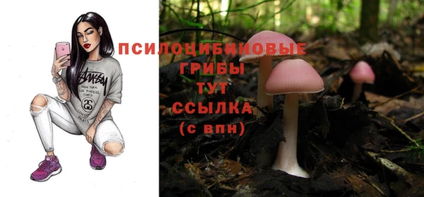 кокс Алексеевка